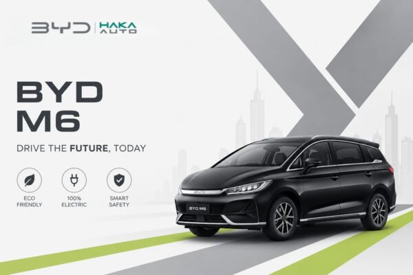 BYD M6