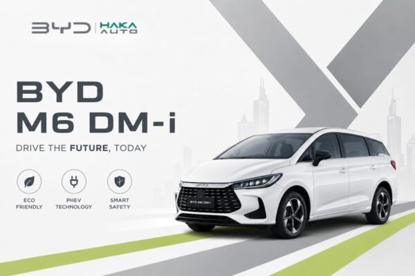 BYD M6 DM-i